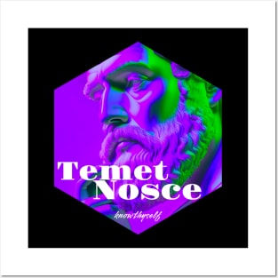 Temet Nosce Posters and Art